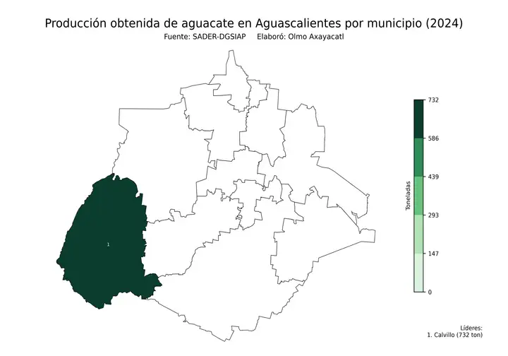 Producción obtenida de aguacate en Aguascalientes por municipio