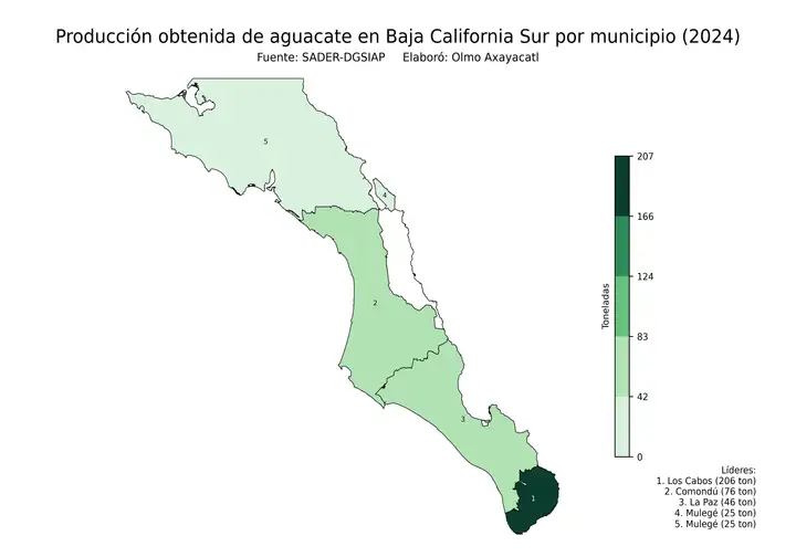 Producción obtenida de aguacate en Baja California Sur por municipio