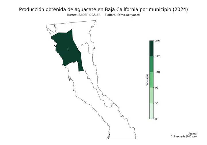 Producción obtenida de aguacate en Baja California por municipio