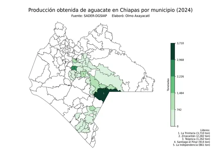 Producción obtenida de aguacate en Chiapas por municipio