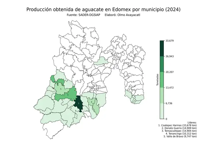 Producción obtenida de aguacate en Estado de México por municipio