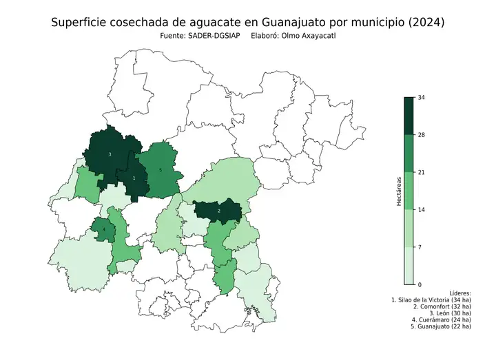 Superficie cosechada de aguacate en Guanajuato por municipio