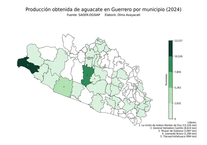 Producción obtenida de aguacate en Guerrero por municipio