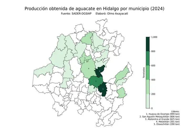 Producción obtenida de aguacate en Hidalgo por municipio