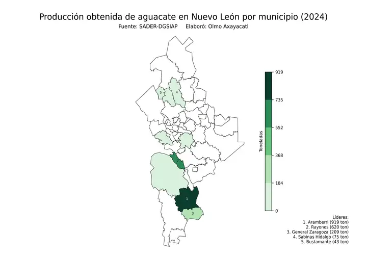 Producción obtenida de aguacate en Nuevo León por municipio