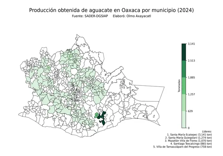 Producción obtenida de aguacate en Oaxaca por municipio
