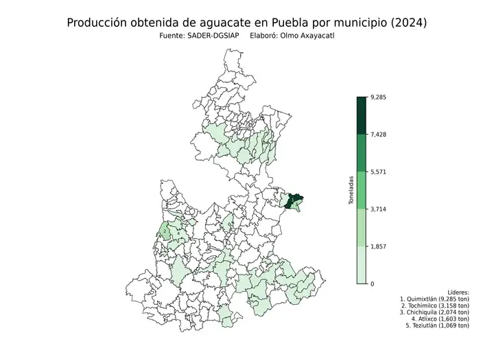 Producción obtenida de aguacate en Puebla por municipio