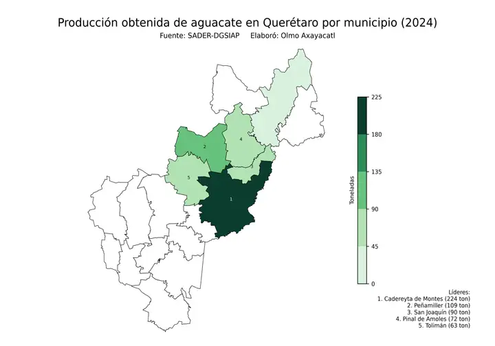Producción obtenida de aguacate en Querétaro por municipio