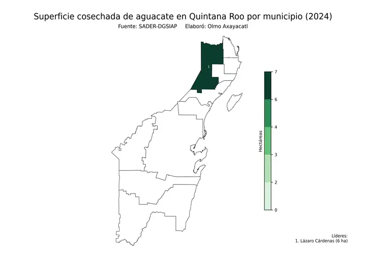 Superficie cosechada de aguacate en Quintana Roo por municipio