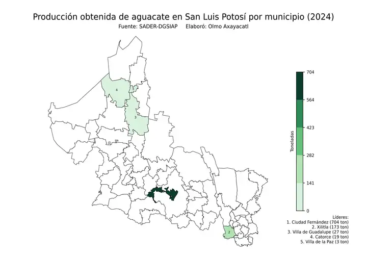 Producción obtenida de aguacate en San Luis Potosí por municipio