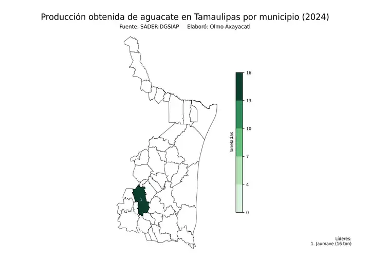Producción obtenida de aguacate en Tamaulipas por municipio