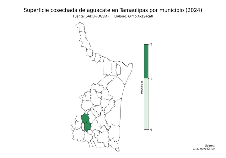 Superficie cosechada de aguacate en Tamaulipas por municipio