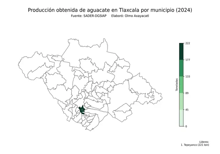 Producción obtenida de aguacate en Tlaxcala por municipio