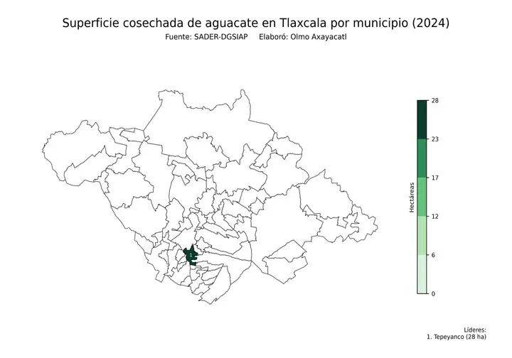 Superficie cosechada de aguacate en Tlaxcala por municipio