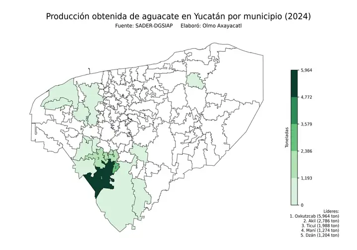 Producción obtenida de aguacate en Yucatán por municipio