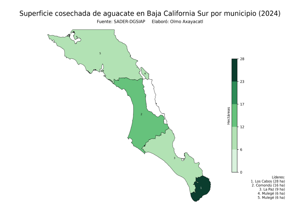 México Producción Agrícola Aguacate Baja California Sur (superficie cosechada)