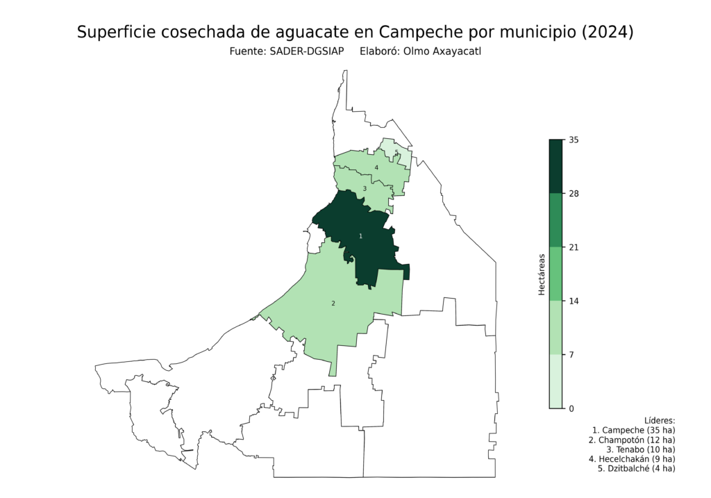 México Producción Agrícola Aguacate Campeche (superficie cosechada)
