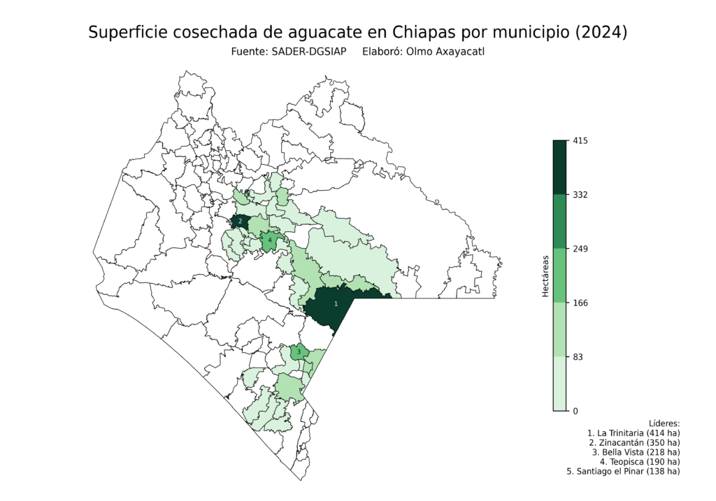 México Producción Agrícola Aguacate Chiapas (superficie cosechada)
