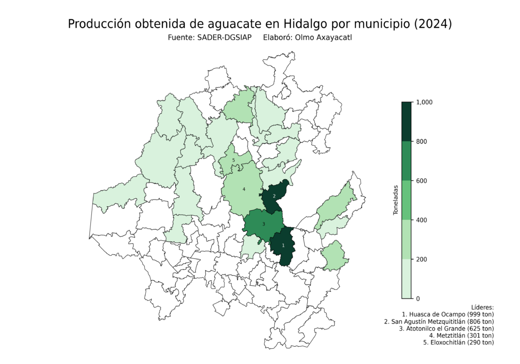 México Producción Agrícola Aguacate Hidalgo (producción obtenida)