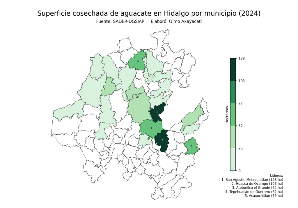 México Producción Agrícola Aguacate Hidalgo (superficie cosechada)