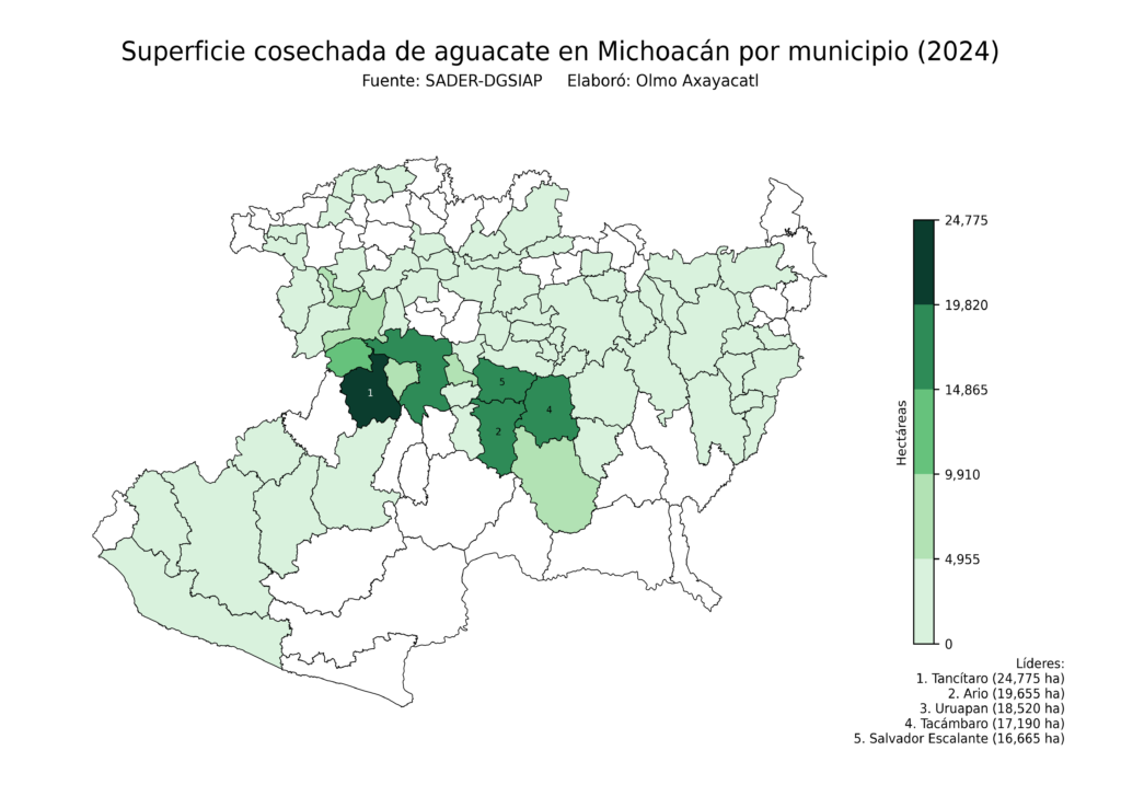 México Producción Agrícola Aguacate Michoacán (superficie cosechada)