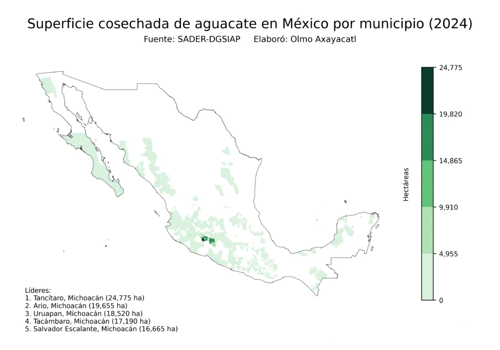 México Producción Agrícola Aguacate (Municipios Superficie)