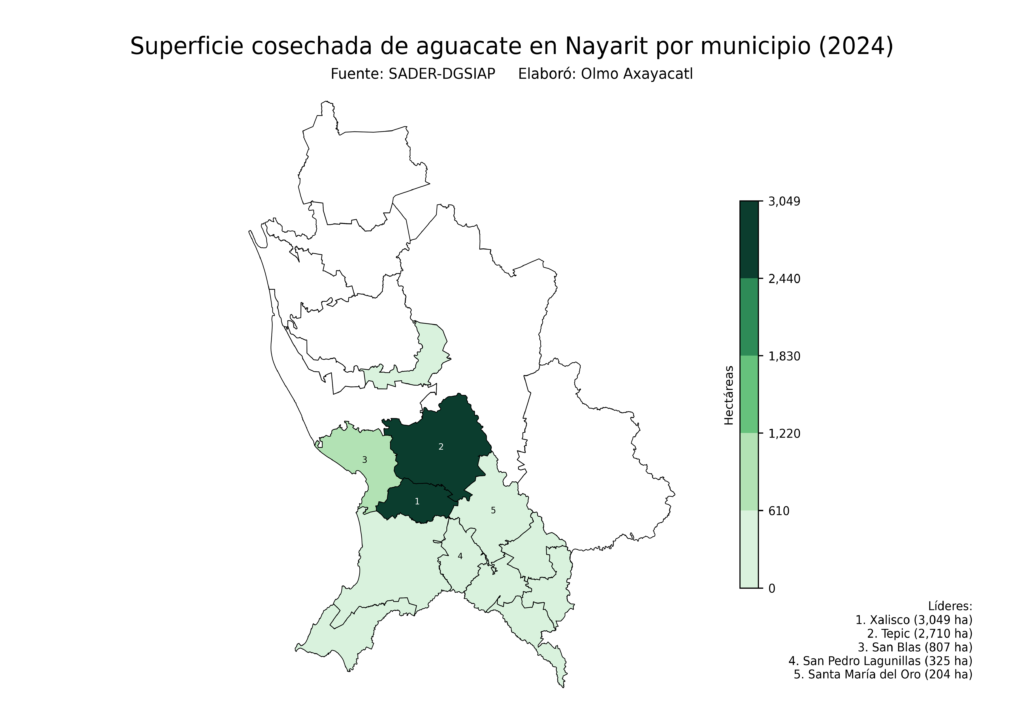 México Producción Agrícola Aguacate Nayarit (superficie cosechada)