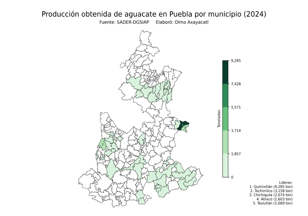 México Producción Agrícola Aguacate Puebla (producción obtenida)
