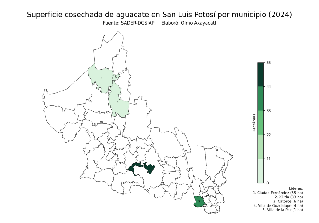 México Producción Agrícola Aguacate San Luis Potosí (superficie cosechada)