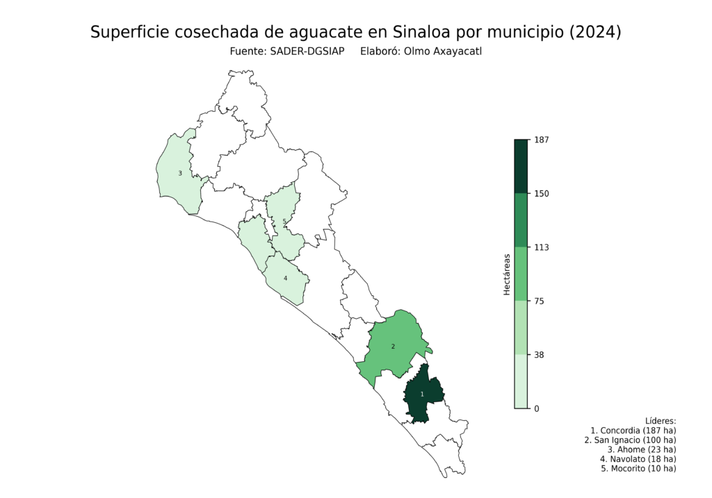 México Producción Agrícola Aguacate Sinaloa (superficie cosechada)