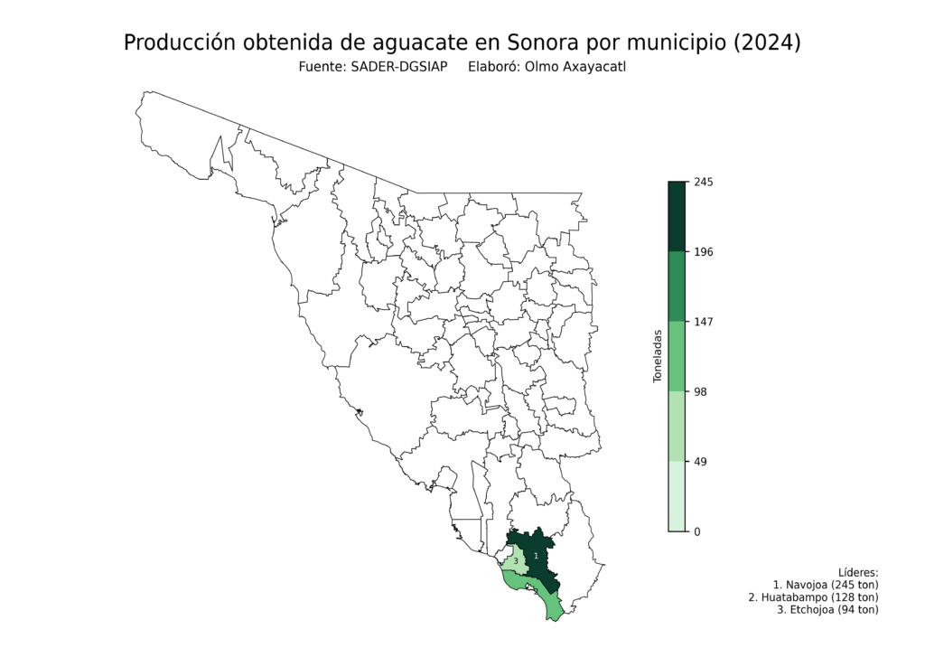México Producción Agrícola Aguacate Sonora (producción obtenida)