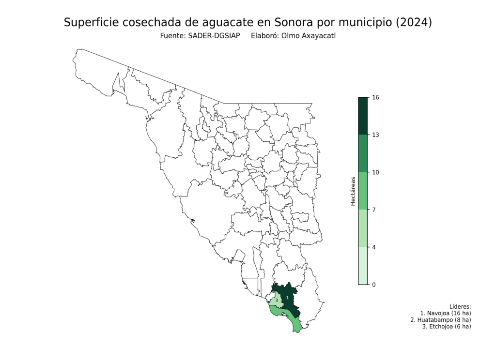 México Producción Agrícola Aguacate Sonora (superficie cosechada)