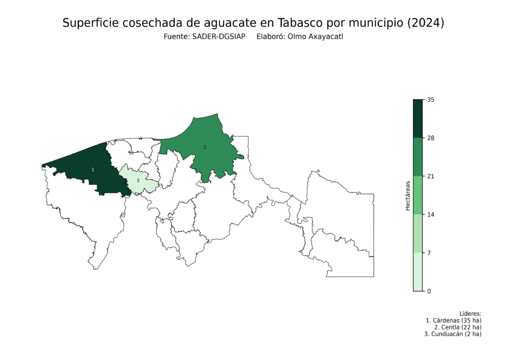 México Producción Agrícola Aguacate Tabasco (superficie cosechada)
