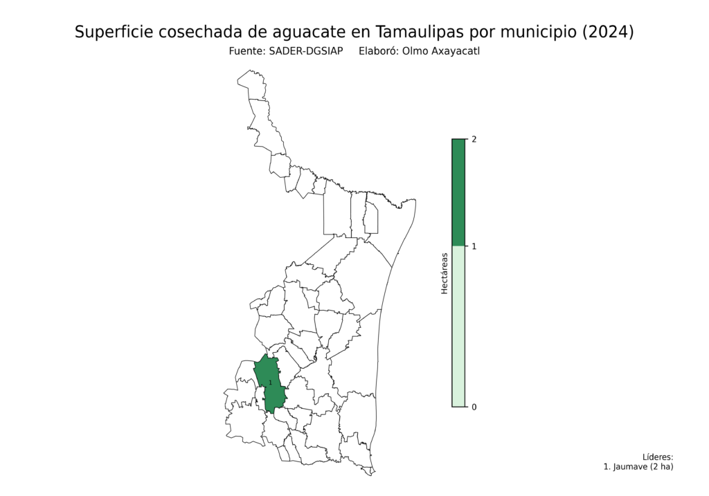 México Producción Agrícola Aguacate Tamaulipas (superficie cosechada)
