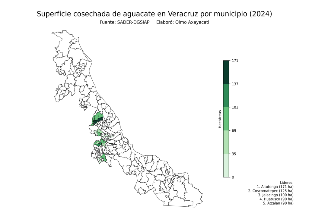 México Producción Agrícola Aguacate Veracruz (superficie cosechada)