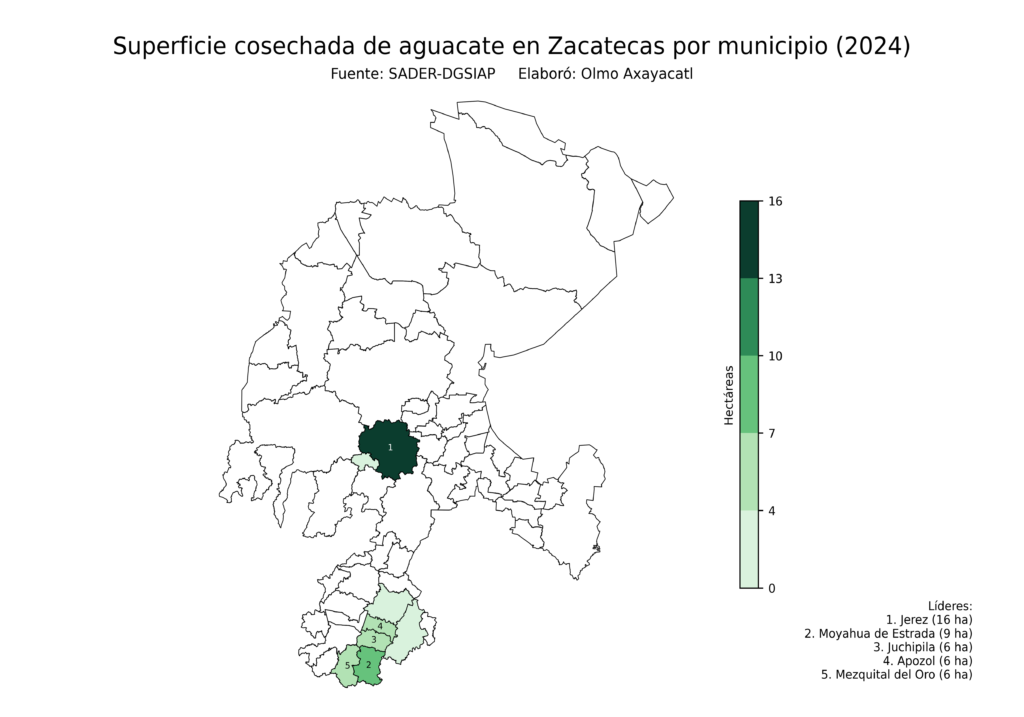 México Producción Agrícola Aguacate Zacatecas (superficie cosechada)